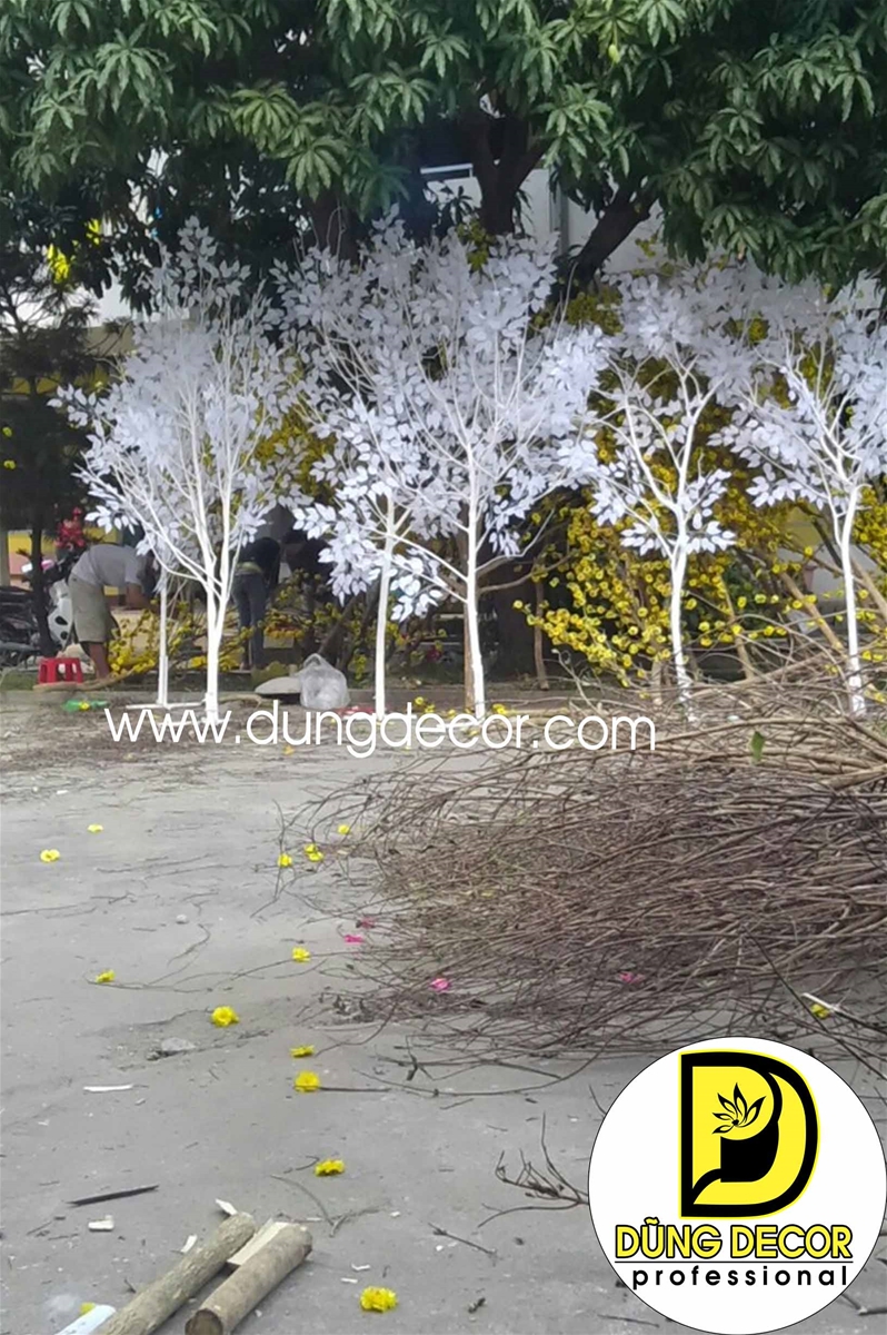 Hình ảnh Cho thuê cây khô sơn trắng 002